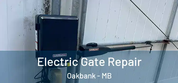 Electric Gate Repair Oakbank - MB