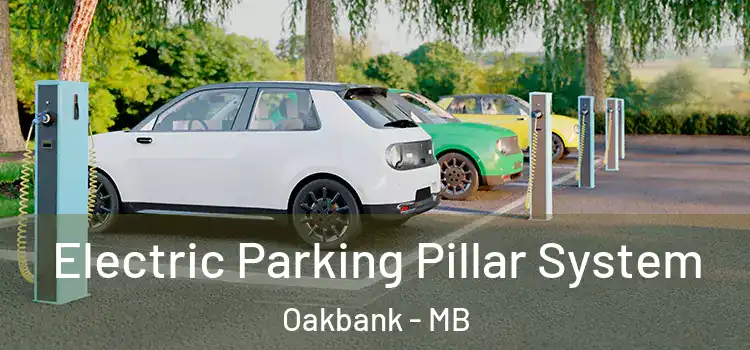  Electric Parking Pillar System Oakbank - MB