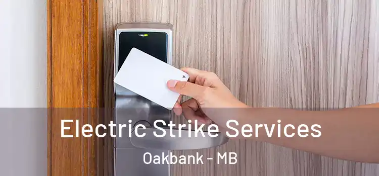 Electric Strike Services Oakbank - MB
