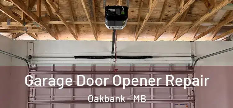 Garage Door Opener Repair Oakbank - MB