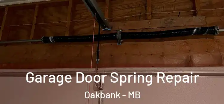  Garage Door Spring Repair Oakbank - MB