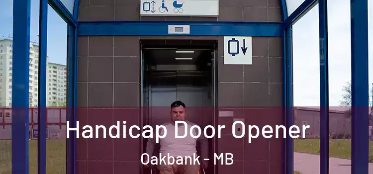  Handicap Door Opener Oakbank - MB