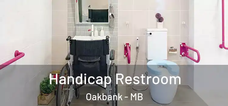 Handicap Restroom Oakbank - MB