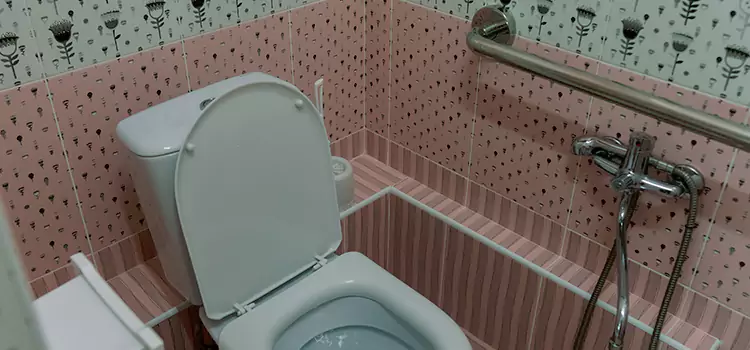 Meeting Diverse Needs With Accessible Restroom Solutions in Oakbank, MB