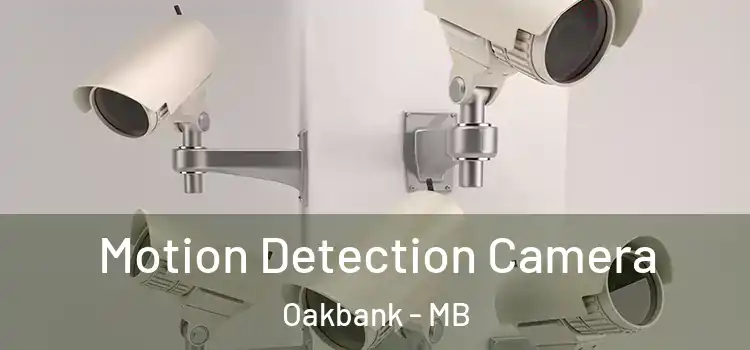 Motion Detection Camera Oakbank - MB